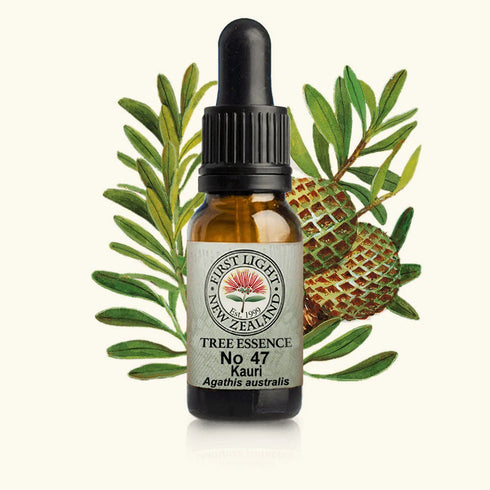 Kauri Essence 10ml-First Light Essences-Matakana Pharmacy