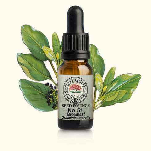 Broadleaf Essence 10ml-First Light Essences-Matakana Pharmacy