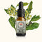 Wharangi Essence 10ml-First Light Essences-Matakana Pharmacy