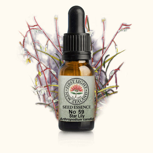 Star Lily Essence 10ml-First Light Essences-Matakana Pharmacy