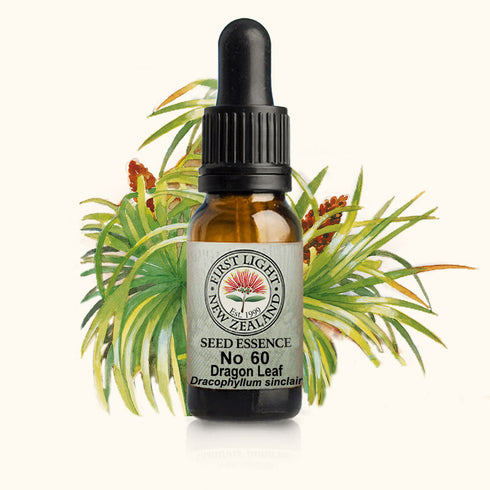 Dragon Leaf Essence 10ml-First Light Essences-Matakana Pharmacy