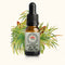 Dragon Leaf Essence 10ml-First Light Essences-Matakana Pharmacy