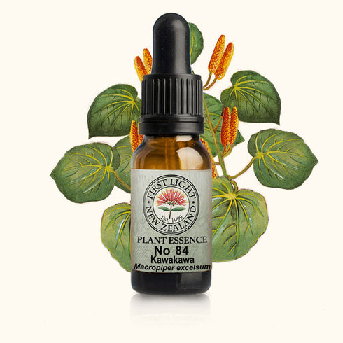 Kawakawa Essence 10ml-First Light Essences-Matakana Pharmacy