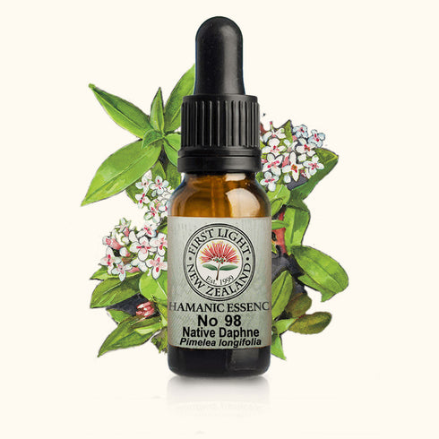 Native Daphne Essence 10ml-First Light Essences-Matakana Pharmacy