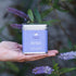 Relax Premium Herbal Tea 30Serves-Enhanced Wellbeing Tea-Matakana Pharmacy