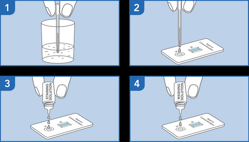 Image of PRIMA Sperm Home Test Kit how to use