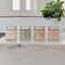 Image of NUDE KIWI Travel Pack 4x30g (Cleanser, Mask, Day, Night)