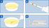 Image of PRIMA Urinary Tract Infections Home Test Kit how to use