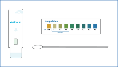 Image of PRIMA Vaginal pH Home Test Kit interpretation