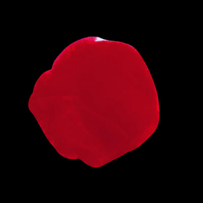 HANAMI Cherry Oh Baby NP 15ml-Matakana Pharmacy