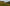 Hay Fever in New Zealand: Why So Many Kiwis Are Sneezing