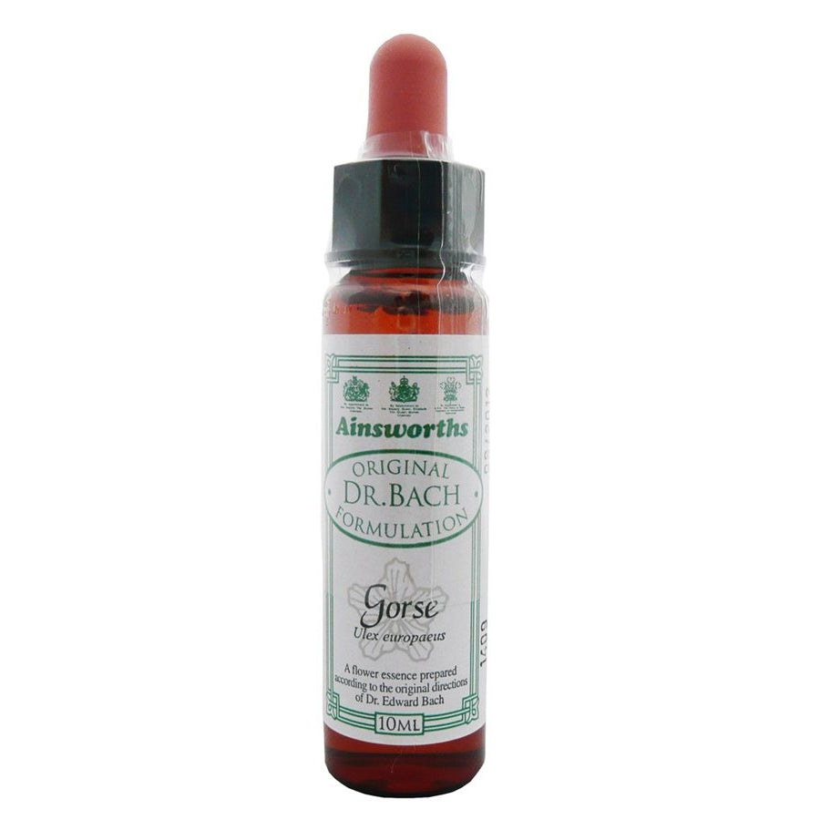 Ainsworths Gorse 10ml-Ainsworths-Matakana Pharmacy