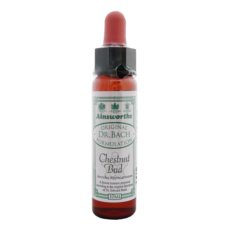 Ainsworths Chestnut Bud 10ml-Ainsworths-Matakana Pharmacy