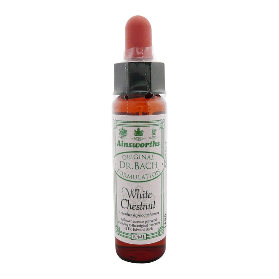 Ainsworths White Chestnut 10ml-Ainsworths-Matakana Pharmacy