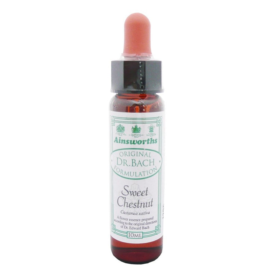 Ainsworths Sweet Chestnut 10ml-Ainsworths-Matakana Pharmacy