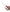 Waterpik Ultra Plus Waterflosser White-Waterpik-Matakana Pharmacy