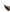 Waterpik Ultra Plus Waterflosser Black-Waterpik-Matakana Pharmacy