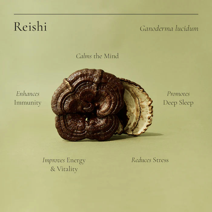 Reishi Powder 100g-Matakana Pharmacy