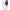 Philips Avent Nipple Shield Medium 2 pack | Matakana Pharmacy