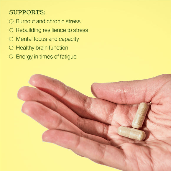 Image of BePure Burnout Rescue capsules in hand