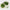 Single Organic Produce Bag Assorted-Nil-Matakana Pharmacy