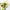 Single Organic Produce Bag Assorted-Nil-Matakana Pharmacy