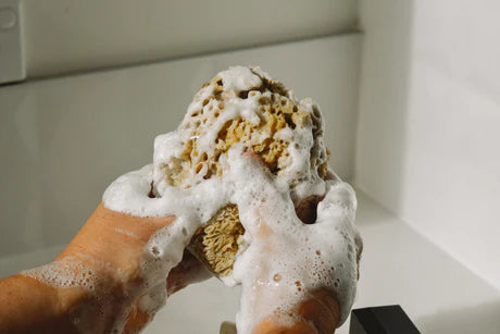 Sea Sponge 10cm-Real World-Matakana Pharmacy