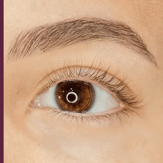 Amplified Tubing Mascara Dark Brown-Blinc-Matakana Pharmacy