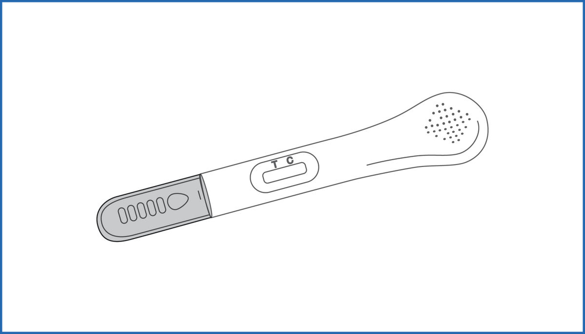 Image of PRIMA Early Pregnancy Home Test Kit contents