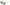 50/50 Sunnies Black with Rainbow Reflective Lens-Matakana Pharmacy