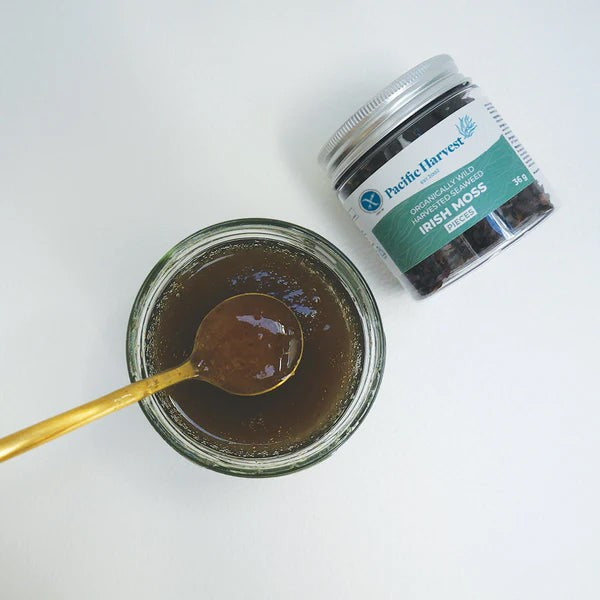 Irish moss gel in a jar