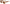 Noode Nude-Moana Road NZ-Matakana Pharmacy