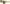 Image of Plastic Fantastic Sunglasses - Amber (Polarized)