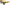 Image of CB II Amber Sunnies (Polarized)