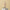 Seoul 1988 Eye Cream : Retinal Liposome 4% + Fermented Bean 30ml-KSECRET-Matakana Pharmacy
