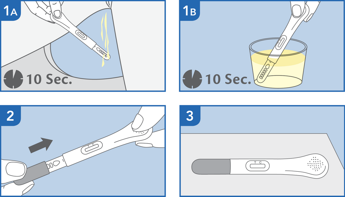 Image of PRIMA Early Pregnancy Home Test Kit how to use
