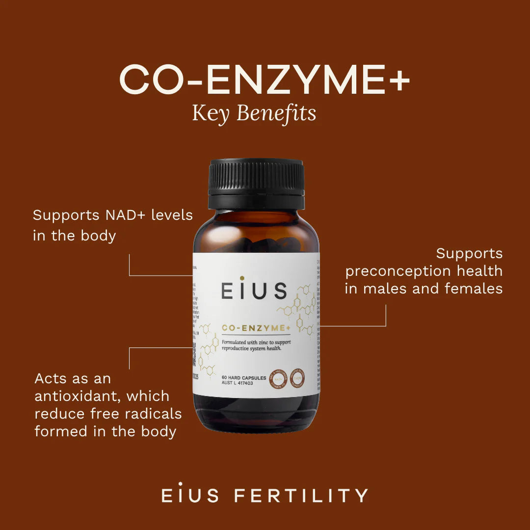 Image of CO-ENZYME + 60caps benefits