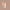 SPF 50 Natural Concealer Light Medium 9g-Avocado Zinc-Matakana Pharmacy