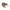 Elastic Polybands Brown and Blond 100