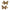 Alligator Clip Gold Butterfly 2pk