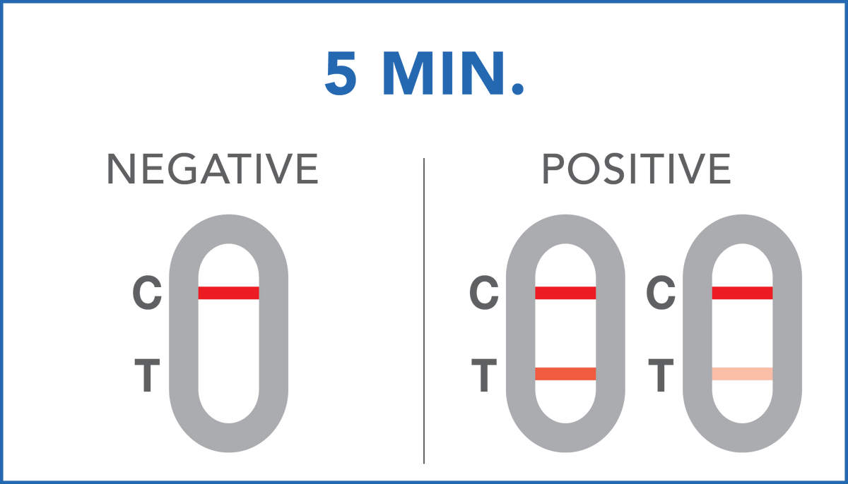 Image of PRIMA Early Pregnancy Home Test Kit  results