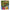 Image of Lemsip Max Sachets 10s