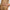 Detangling Flexi Brush - Terracotta-KITSCH-Matakana Pharmacy