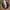 Sweet Almond Oil 100ml