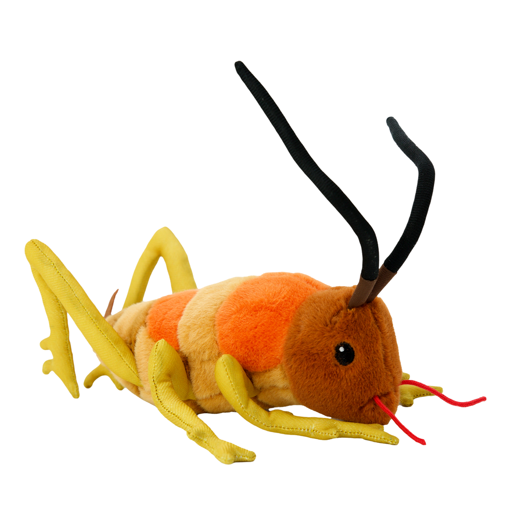Wiremu The Weta 20cm-Moana Road NZ-Matakana Pharmacy