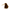 Plush toy resembling a Kiwi Bird on a white background