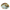 Glass Paua Bowl Large 43cm-Moana Road NZ-Matakana Pharmacy