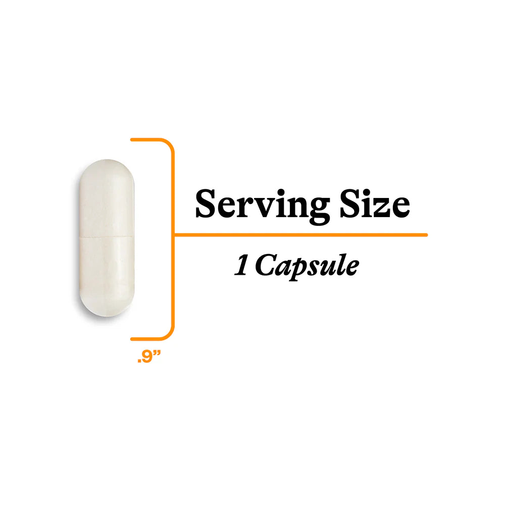 Acetyl L Carnitine 90 Capsules-Seeking Health-Matakana Pharmacy