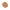 Super Mushroom Complex 100g-Metagenics-Matakana Pharmacy
