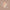 SPF 50 Natural Concealer Light 9g-Avocado Zinc-Matakana Pharmacy